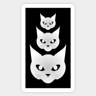 White Cats Sticker